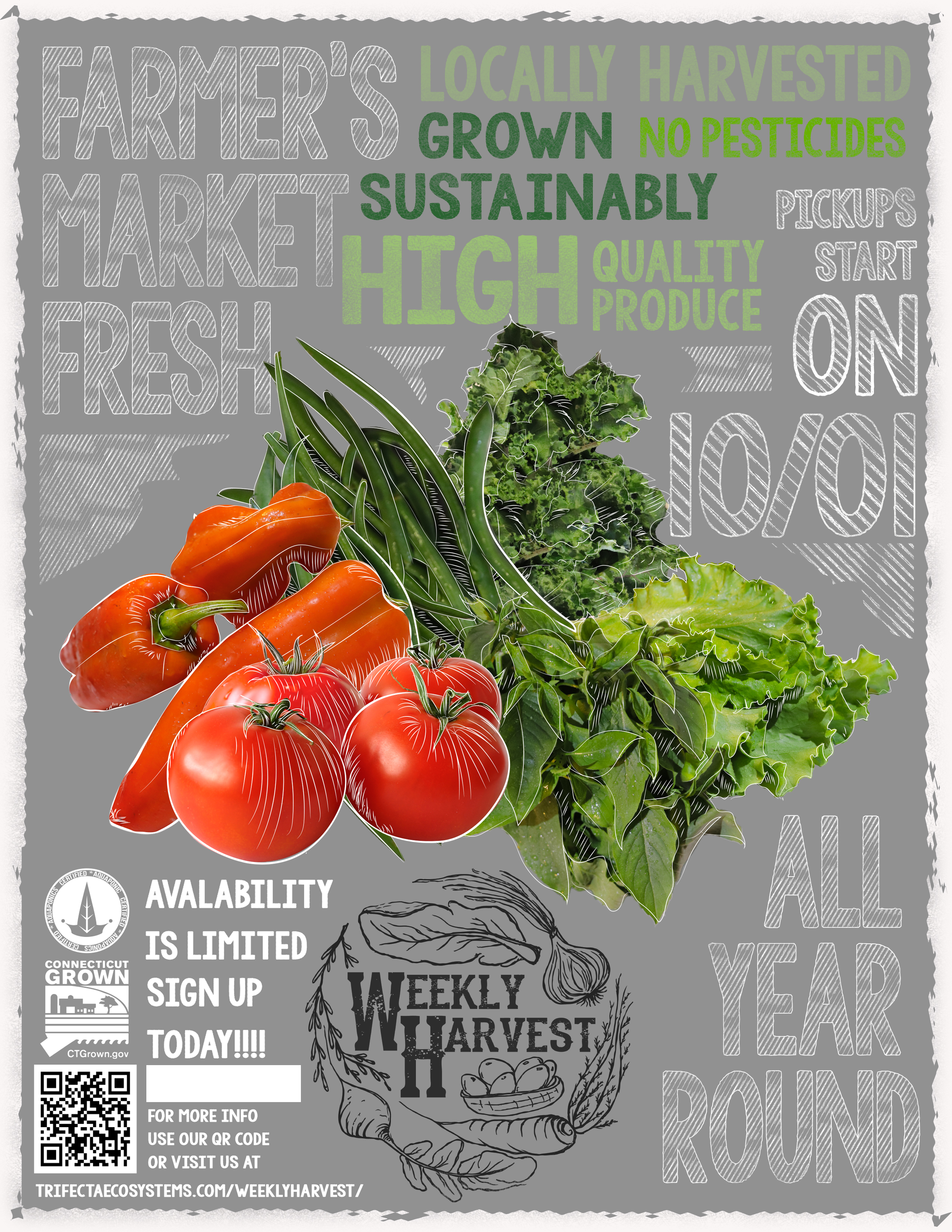 Flyer created for the Weekly Harvest food subscription service for meriden,ct