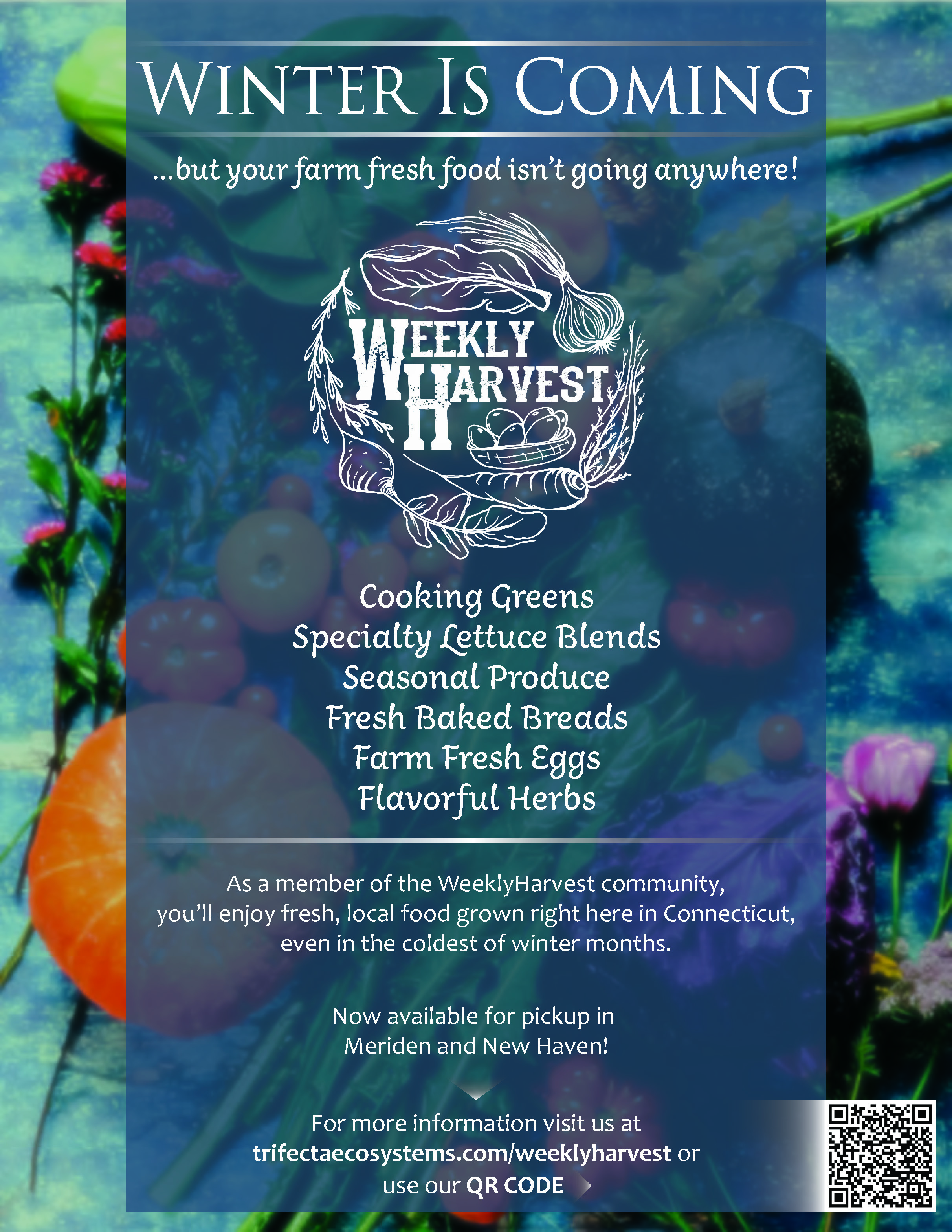 Flyer created for the Weekly Harvest food subscription service for winter